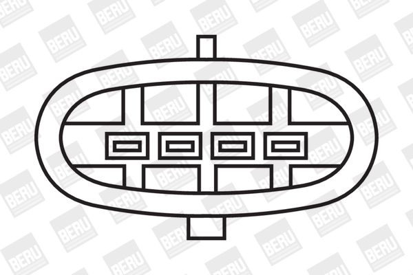 Ritė, uždegimas BorgWarner (BERU) ZS370