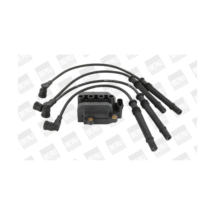 Ritė, uždegimas BorgWarner (BERU) ZS375