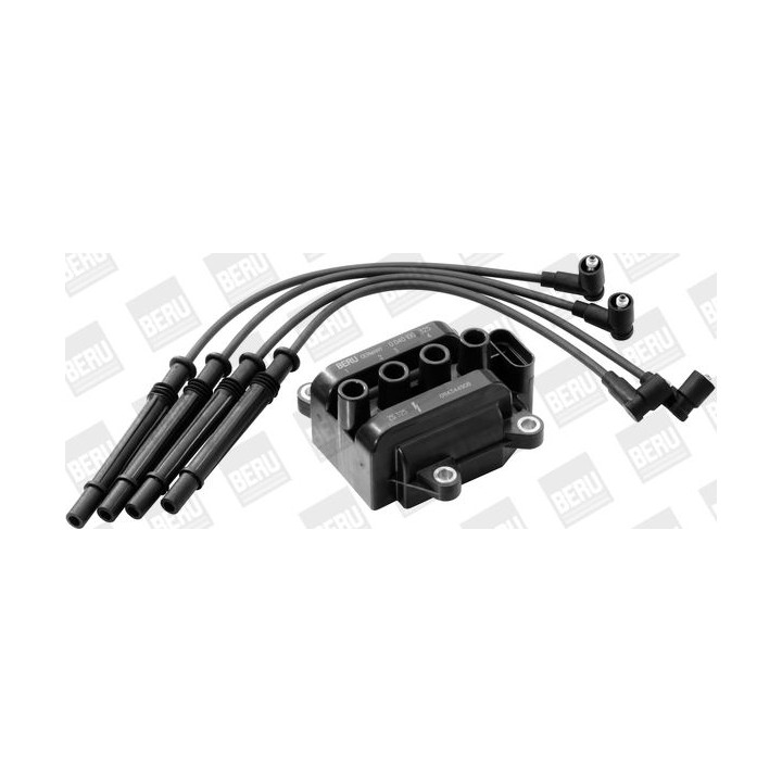 Ritė, uždegimas BorgWarner (BERU) ZS375