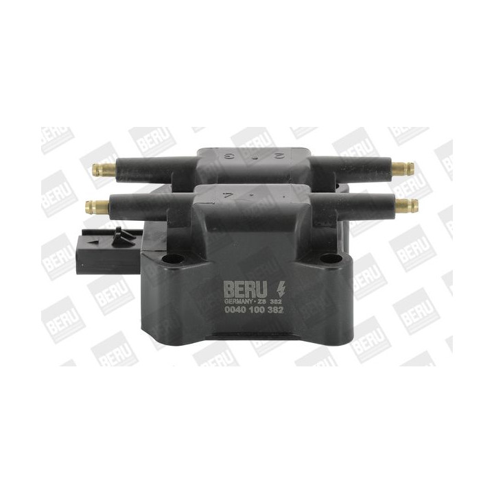 Ritė, uždegimas BorgWarner (BERU) ZS382