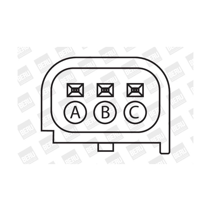 Ritė, uždegimas BorgWarner (BERU) ZS387