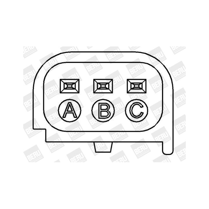 Ritė, uždegimas BorgWarner (BERU) ZS387
