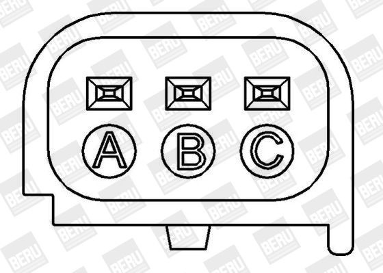 Ritė, uždegimas BorgWarner (BERU) ZS387