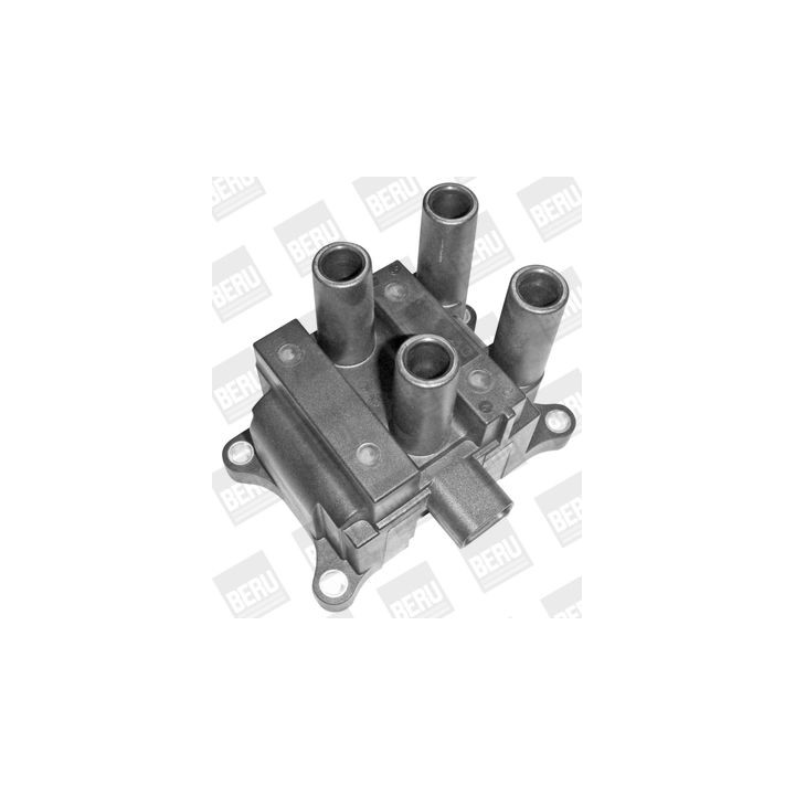 Ritė, uždegimas BorgWarner (BERU) ZS387