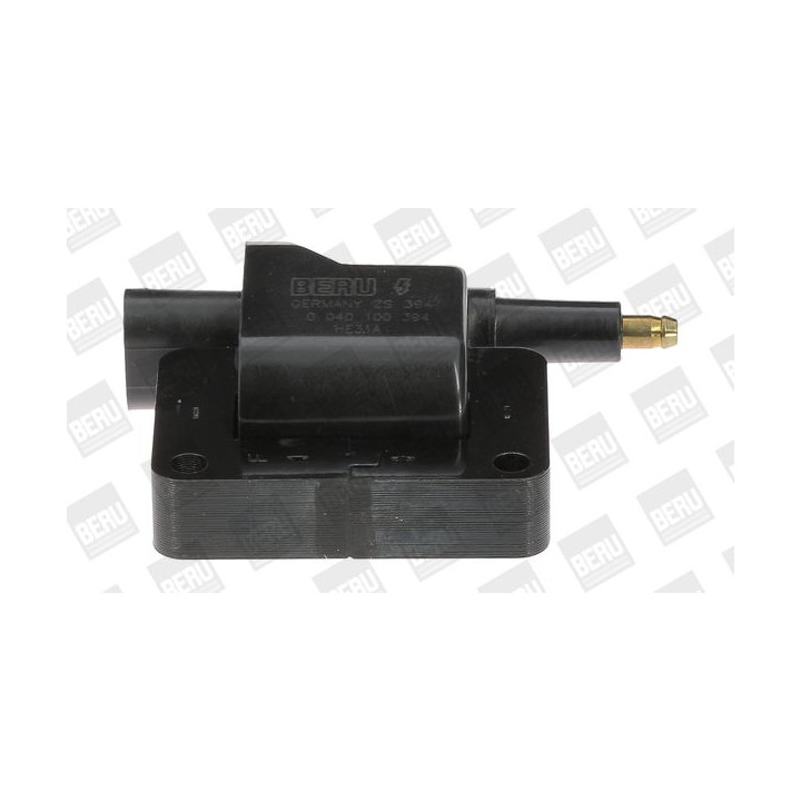 Ritė, uždegimas BorgWarner (BERU) ZS394