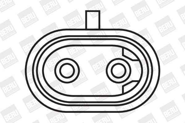 Ritė, uždegimas BorgWarner (BERU) ZS394