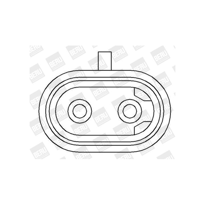 Ritė, uždegimas BorgWarner (BERU) ZS394