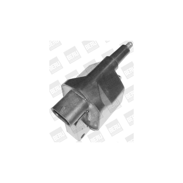 Ritė, uždegimas BorgWarner (BERU) ZS394