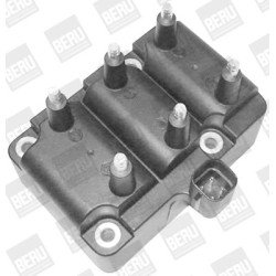 Ritė, uždegimas BorgWarner (BERU) ZS405