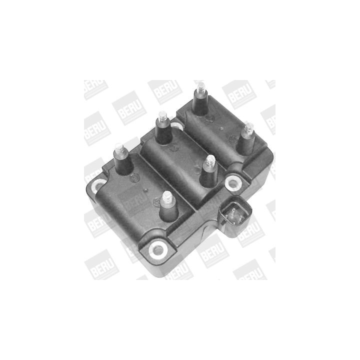 Ritė, uždegimas BorgWarner (BERU) ZS405