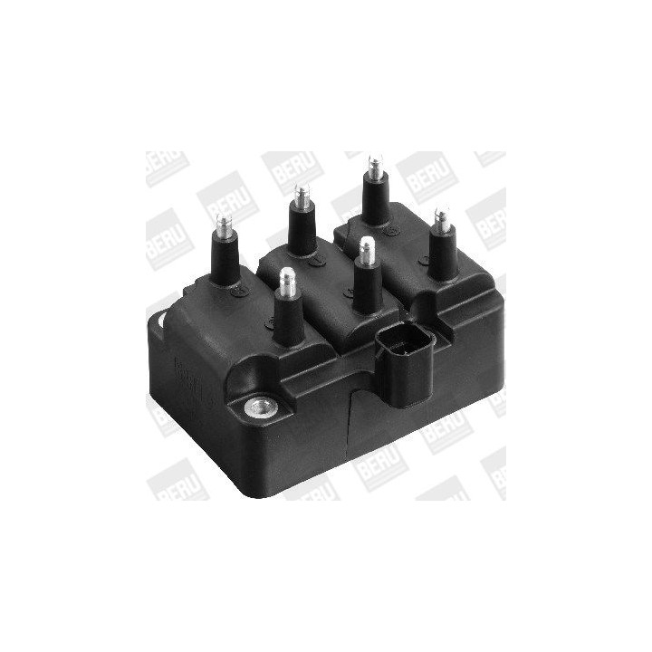 Ritė, uždegimas BorgWarner (BERU) ZS405