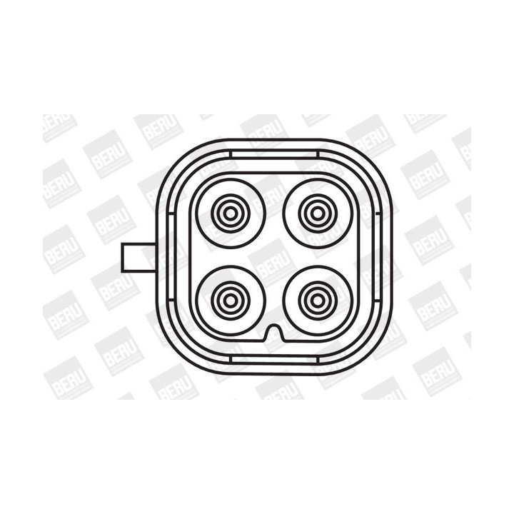 Ritė, uždegimas BorgWarner (BERU) ZS405