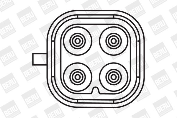 Ritė, uždegimas BorgWarner (BERU) ZS405