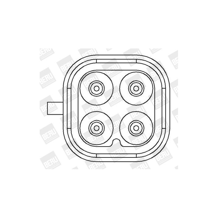 Ritė, uždegimas BorgWarner (BERU) ZS405