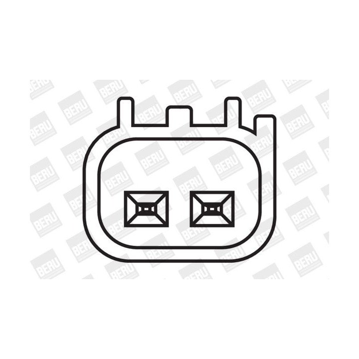 Ritė, uždegimas BorgWarner (BERU) ZS408