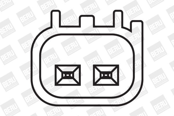 Ritė, uždegimas BorgWarner (BERU) ZS408