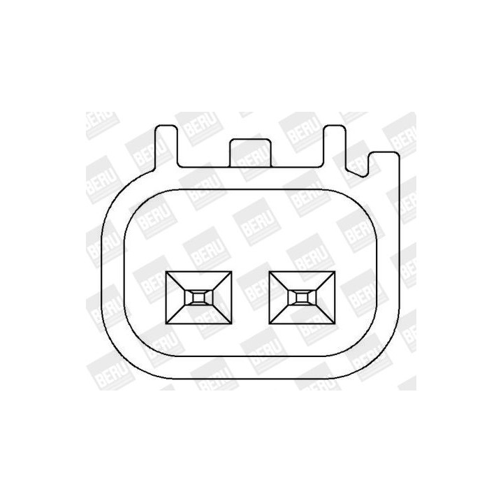 Ritė, uždegimas BorgWarner (BERU) ZS408