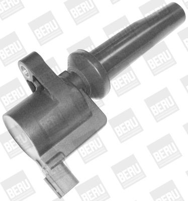 Ritė, uždegimas BorgWarner (BERU) ZS408