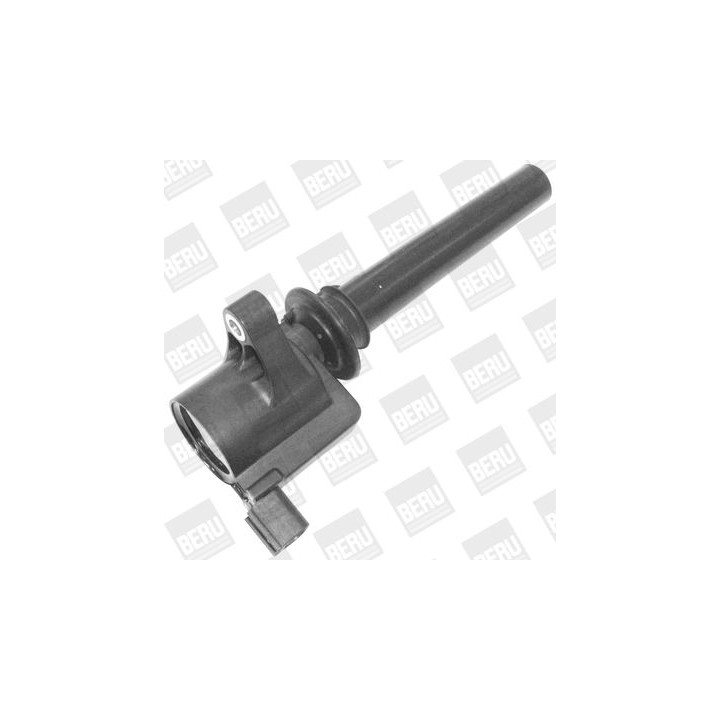 Ritė, uždegimas BorgWarner (BERU) ZS410