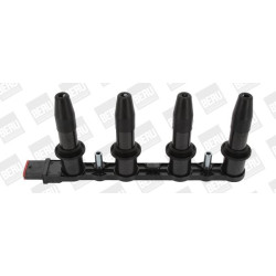 Ritė, uždegimas BorgWarner (BERU) ZS427