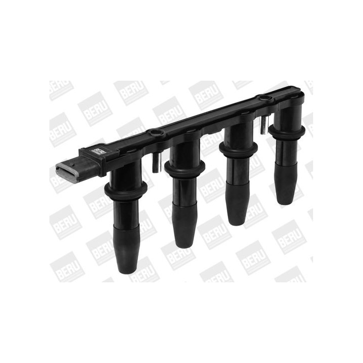 Ritė, uždegimas BorgWarner (BERU) ZS427