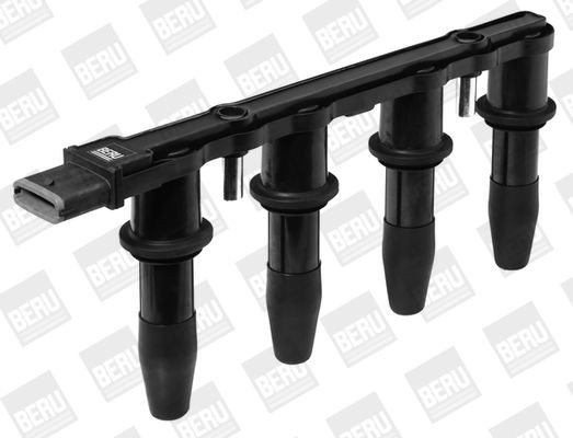 Ritė, uždegimas BorgWarner (BERU) ZS427