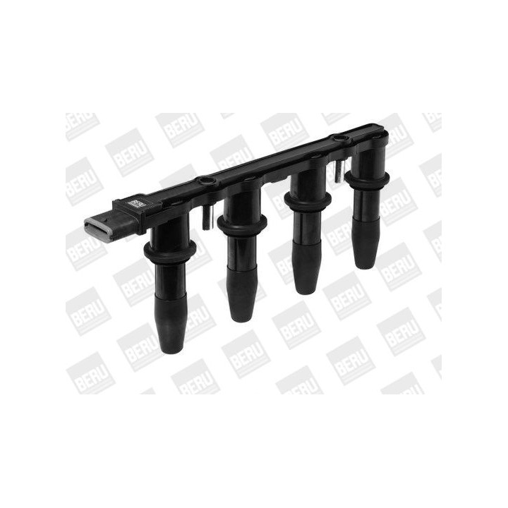 Ritė, uždegimas BorgWarner (BERU) ZS427