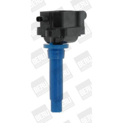 Ritė, uždegimas BorgWarner (BERU) ZS433