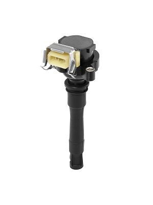 Ritė, uždegimas BorgWarner (BERU) ZS435