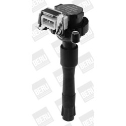 Ritė, uždegimas BorgWarner (BERU) ZS437