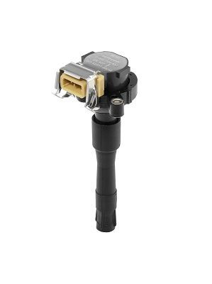 Ritė, uždegimas BorgWarner (BERU) ZS437