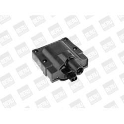 Ritė, uždegimas BorgWarner (BERU) ZS445