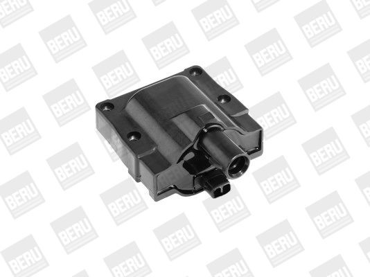 Ritė, uždegimas BorgWarner (BERU) ZS445