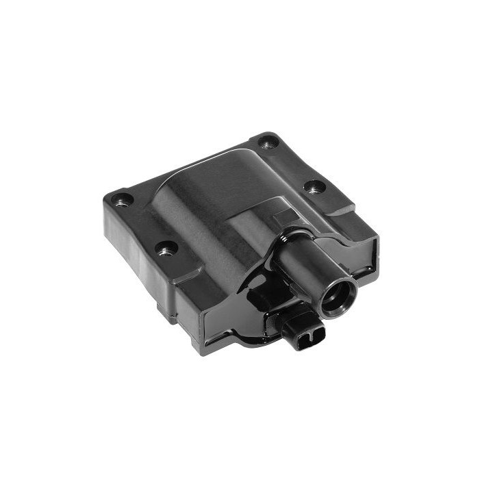 Ritė, uždegimas BorgWarner (BERU) ZS445