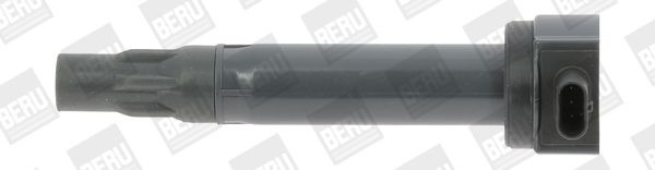 Ritė, uždegimas BorgWarner (BERU) ZS453