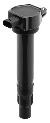 Ritė, uždegimas BorgWarner (BERU) ZS453