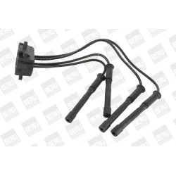 Ritė, uždegimas BorgWarner (BERU) ZS454