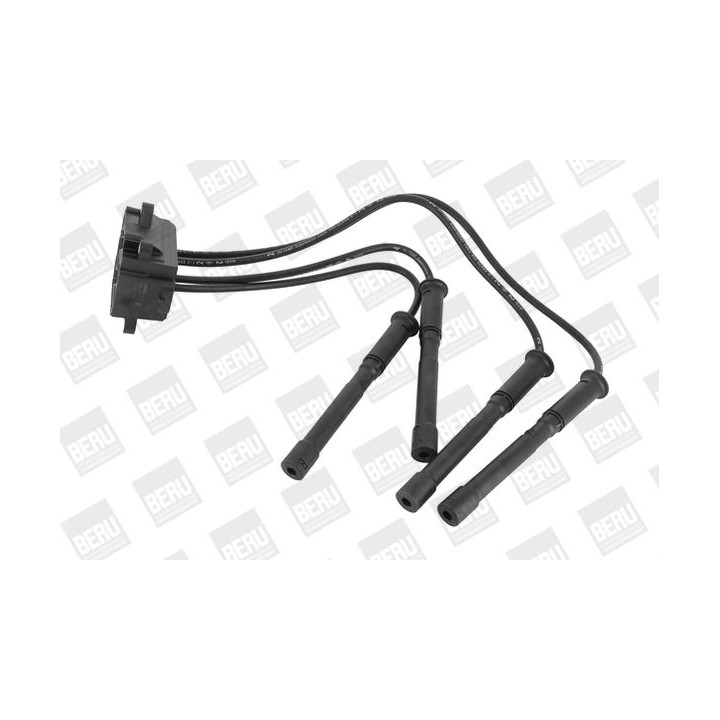 Ritė, uždegimas BorgWarner (BERU) ZS454