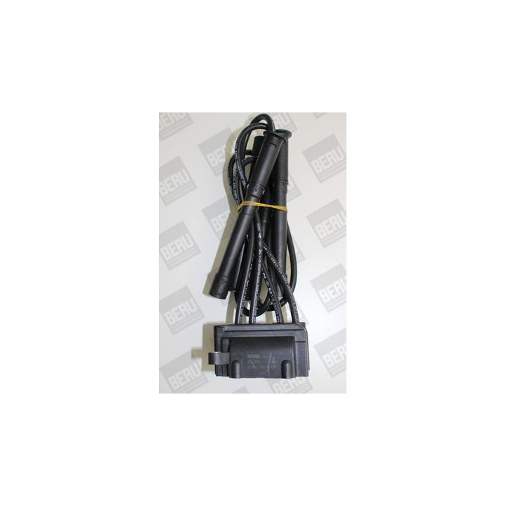 Ritė, uždegimas BorgWarner (BERU) ZS454