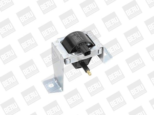 Ritė, uždegimas BorgWarner (BERU) ZS469