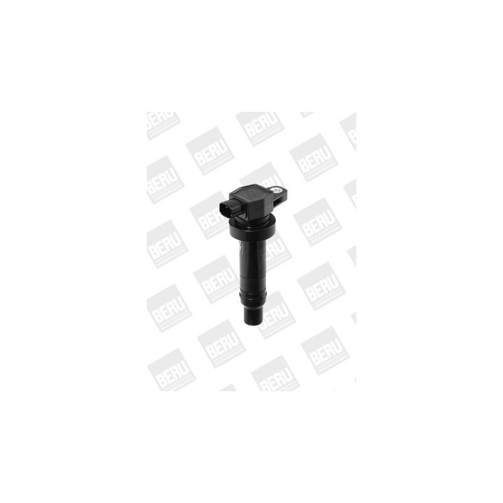 Ritė, uždegimas BorgWarner (BERU) ZS474