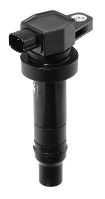 Ritė, uždegimas BorgWarner (BERU) ZS474