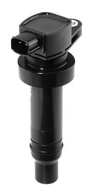 Ritė, uždegimas BorgWarner (BERU) ZS475