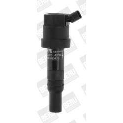 Ritė, uždegimas BorgWarner (BERU) ZS476