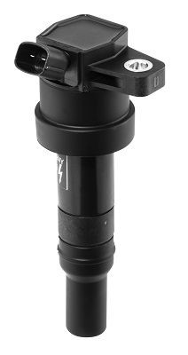 Ritė, uždegimas BorgWarner (BERU) ZS476