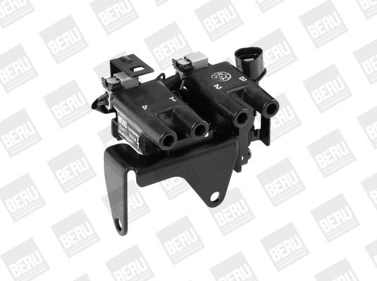 Ritė, uždegimas BorgWarner (BERU) ZS477