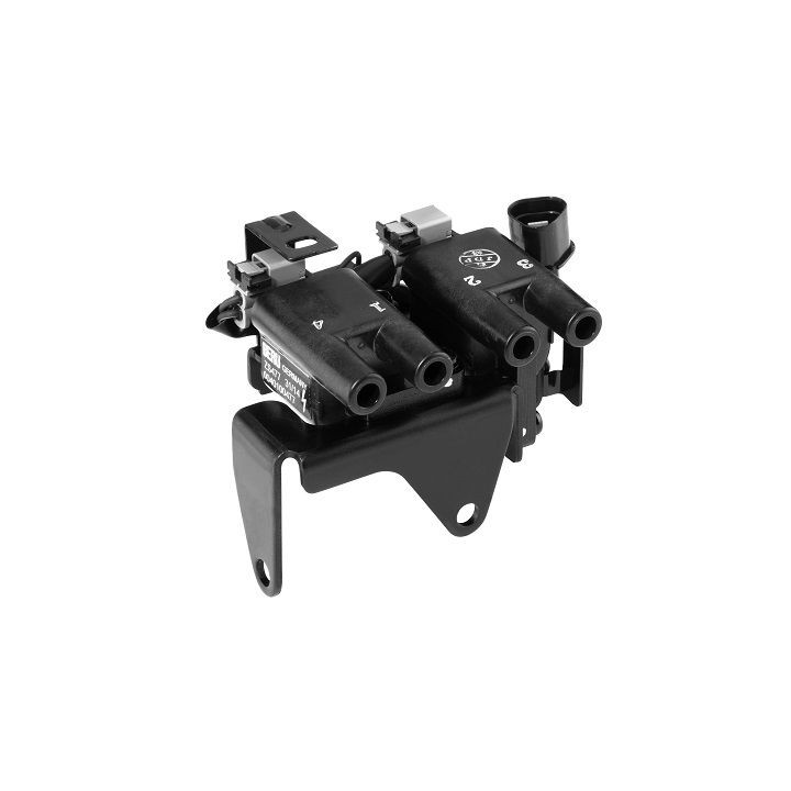 Ritė, uždegimas BorgWarner (BERU) ZS477