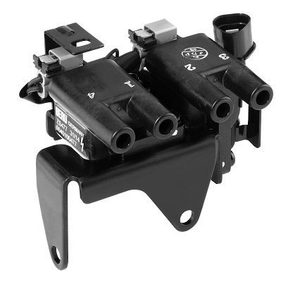 Ritė, uždegimas BorgWarner (BERU) ZS477