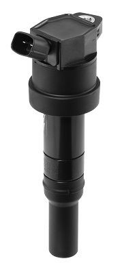 Ritė, uždegimas BorgWarner (BERU) ZS478