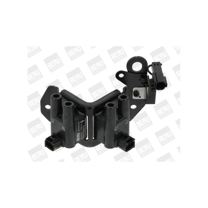 Ritė, uždegimas BorgWarner (BERU) ZS479